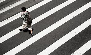 Zebra Cross Artinya Adalah